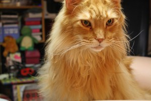 Lester March 23, 2010