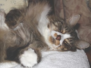 Smudge March 23, 2010