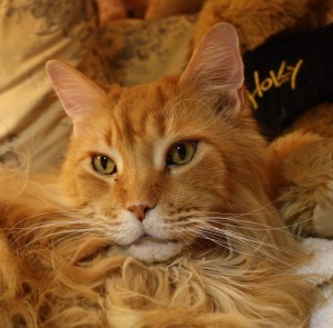 Lester March 30, 2010