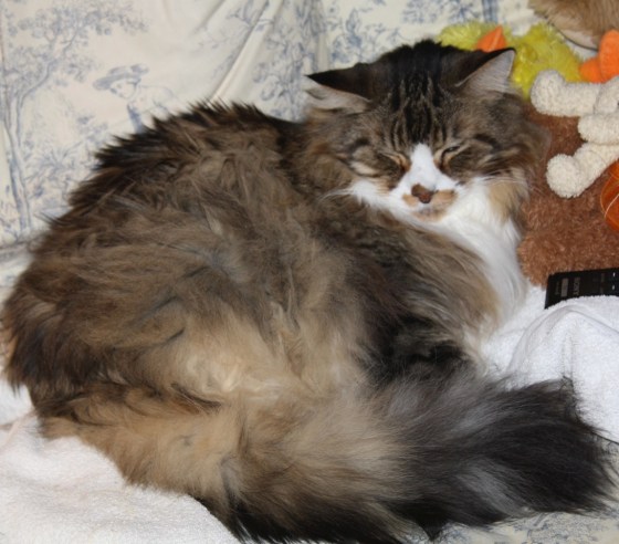 Smudge April 5, 2010