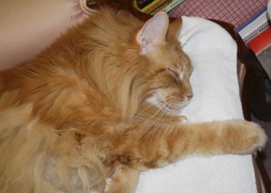 Lester April 7, 2010