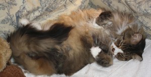 Smudge April 7, 2010