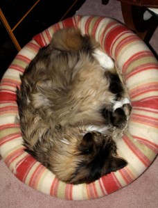 Smudge April 11, 2010