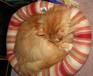 Lester April 11, 2010