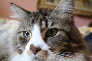 Smudge April 14, 2010