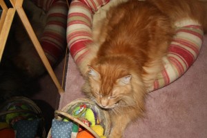 Lester April 10, 2010