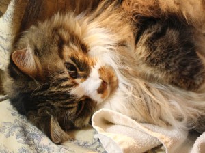 Smudge April 10, 2010