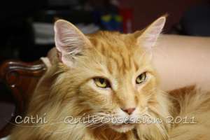 Lester February 6, 2011wtmk