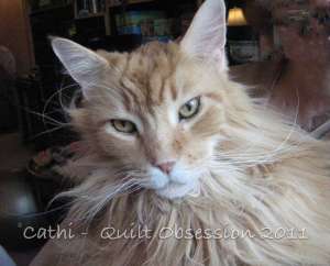 Lester March 1, 2011wtmk