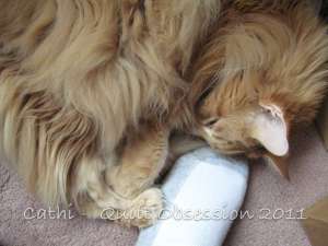 Lester March 6, 2011wtmk