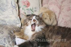 Smudge March 6, 2011wtmk