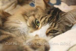 Smudge April 12, 2011wtmk