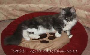 Baxter September 20, 2011wtmk