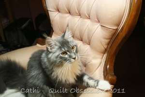 Baxter October 19, 2011wtmk