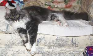 Baxter December 30, 2011wtmk