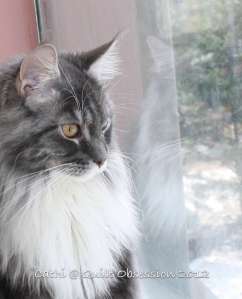 Baxter February 12, 2012wtmk