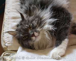 Baxter April 19, 2012wtmk