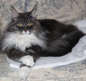 Baxter May 5, 2012wtmk