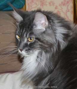 Baxter June 25, 2012wtmk