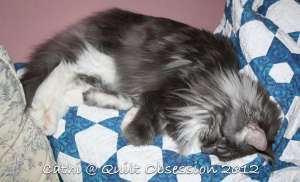 Baxter May 31, 2012wtmk