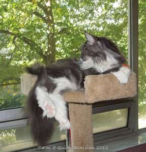 Baxter August 28, 2012wtmk