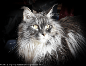 Image 11-14-2013 at 11.58 PMwtmk