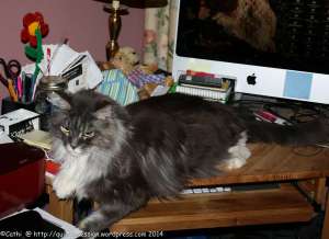 come on ... print somethingwtmk