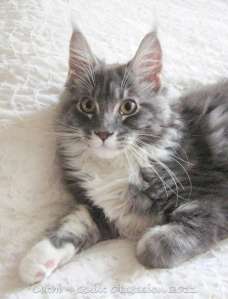 baxter-september-12-2011wtmk