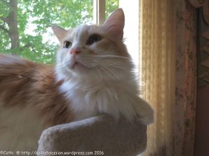 jake-summer-2016wtmk