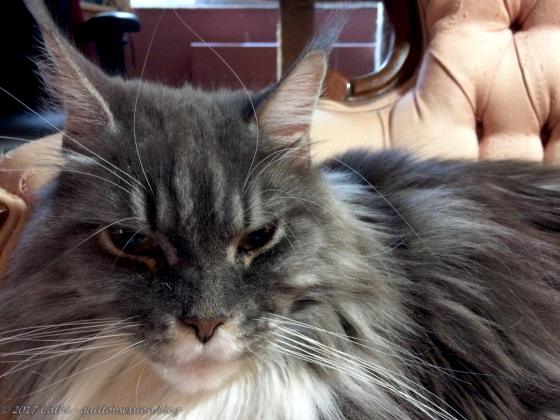 Baxter June 29, 2017wtmk