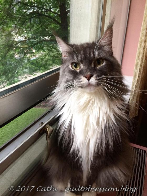 Baxter late June 2017wtmk