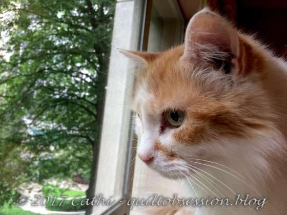 Jake June 22, 2017wtmk