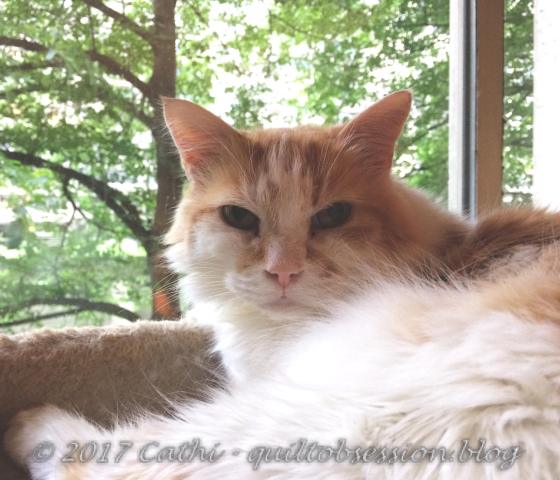 Jake late June 2017wtmk