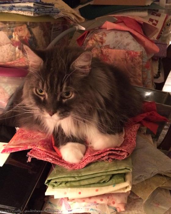 Baxter & Fabric, July 22, 2017wtmk