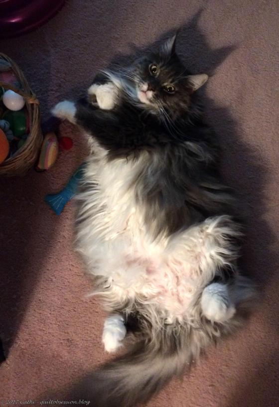 Baxter & Toy Basketwtmk