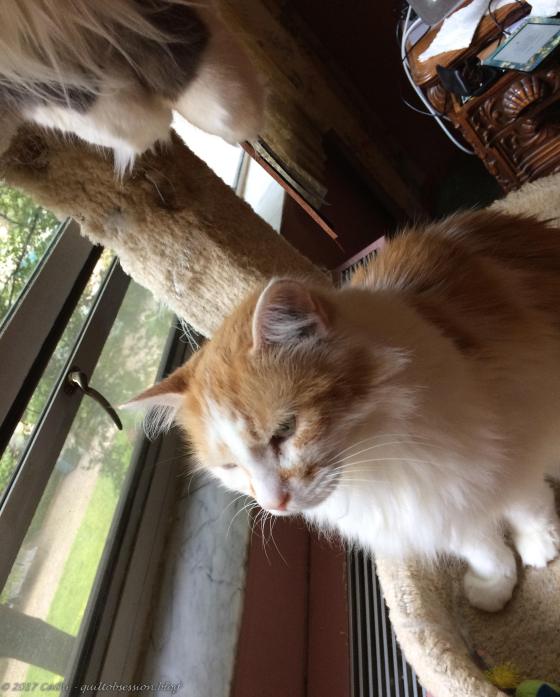 Jake July 12, 2017wtmk