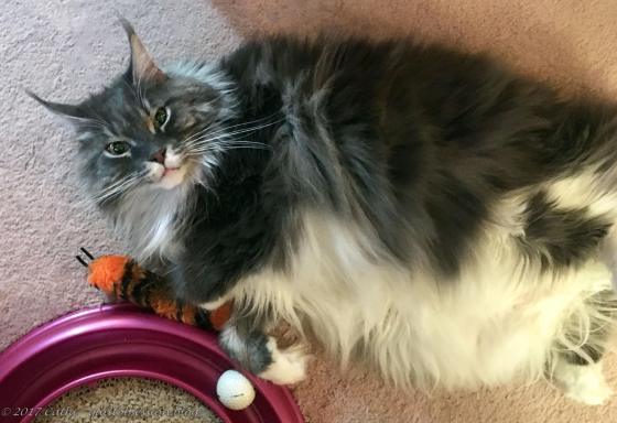 Baxter August 14, 2017wtmk