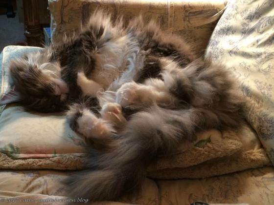 Baxter August 24, 2017wtmk