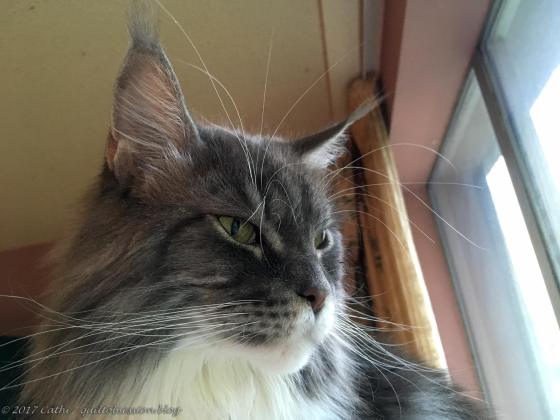 Baxter, August 31, 2017wtmk