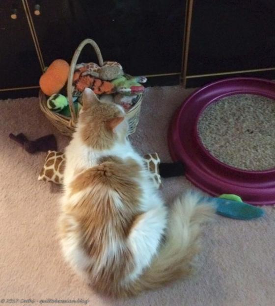 Jake aug 3, 2017wtmk