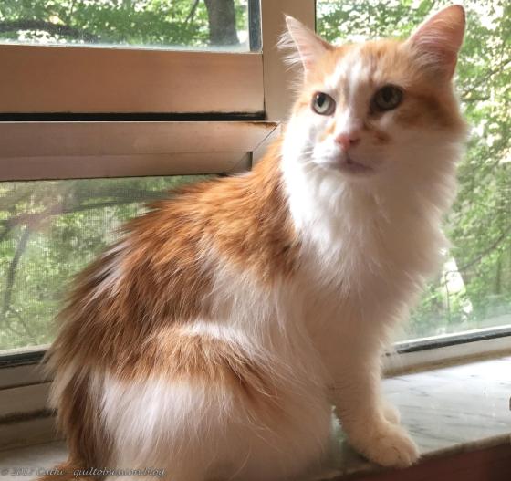 Jake, August 1, 2017wtmk