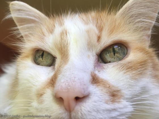 Jake August 14, 2017wtmk