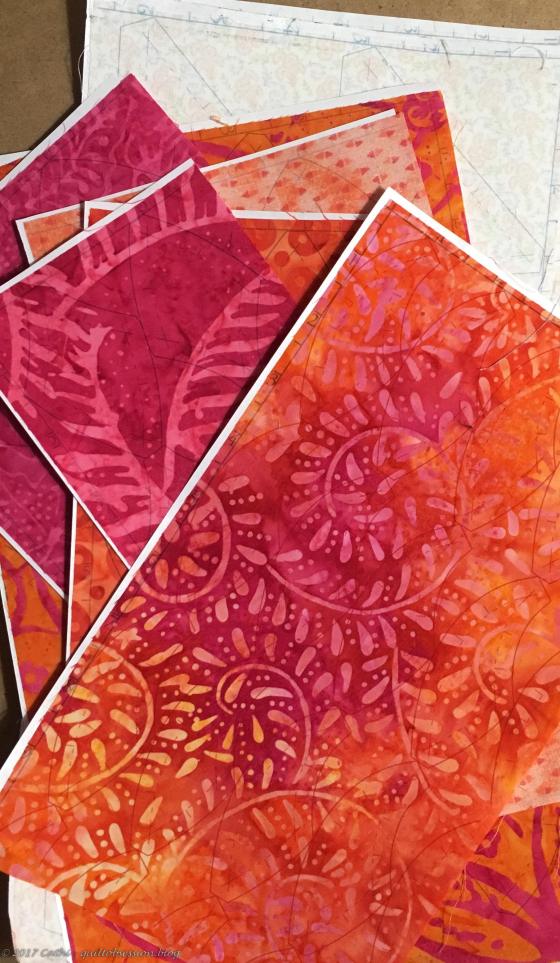 Shaggy Orange Coneflowerwtmk