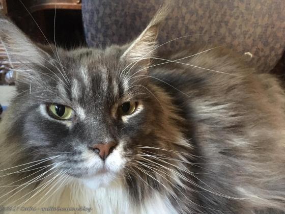 Baxter, September 12, 2017wtmk