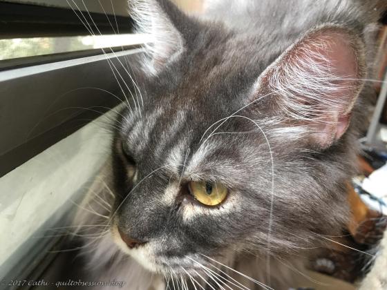 Baxter, September 16, 2017wtmk