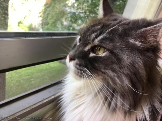 Baxter September 3, 2017wtmk