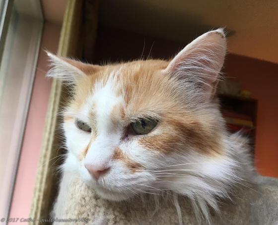 Jake late September 2017wtmk