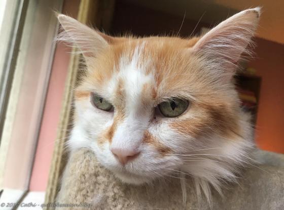 Jake, September 16, 2017wtmk