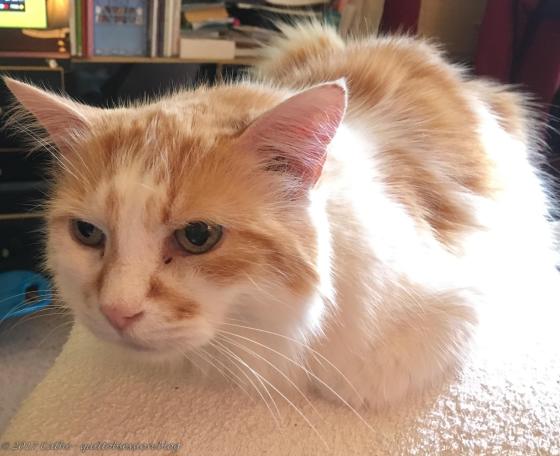 Jake September 3wtmk