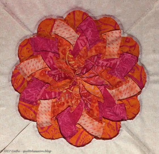 Shaggy Orange Coneflower backwtmk0001